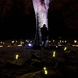 Electric Gardens