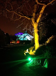 Electric Gardens