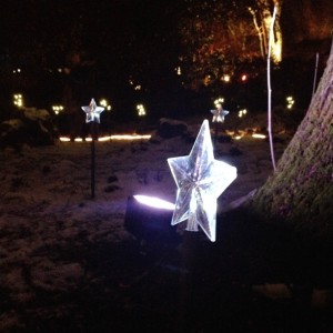 Electric Gardens
