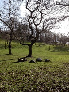 Kelvingrove Park