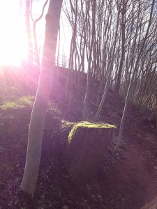 Kelvingrove Park
