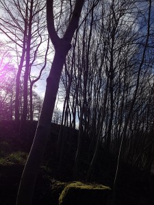 Kelvingrove Park