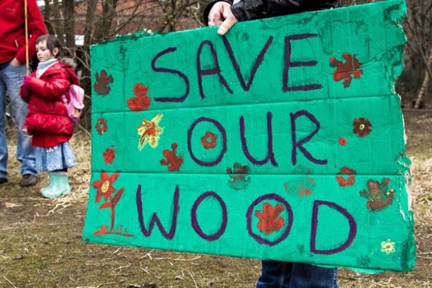 save-our-wood