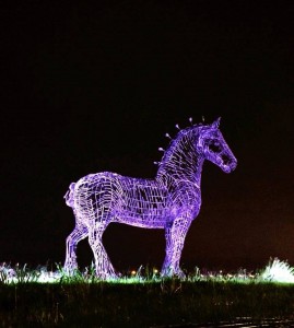 horse