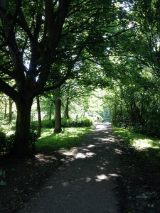 Trees