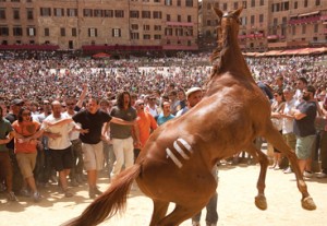 Palio