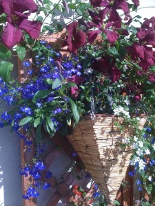 flowers balcony