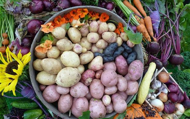 urban roots househillwood harvest