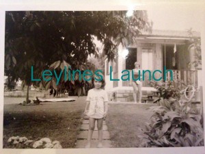 leylines launch