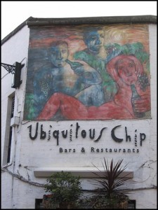 ubiquitouschip205