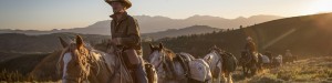 unbranded