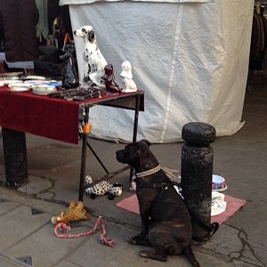 Dog and bone china