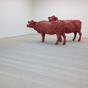 Satchi Gallery Cows