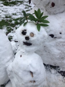 snow baby