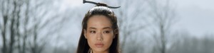the assassin