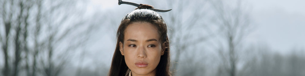 the assassin