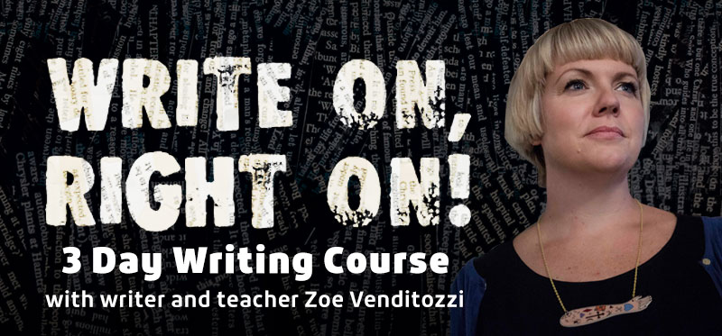 write on right on zoe venditozzi