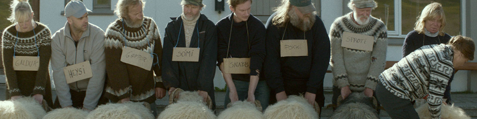 rams