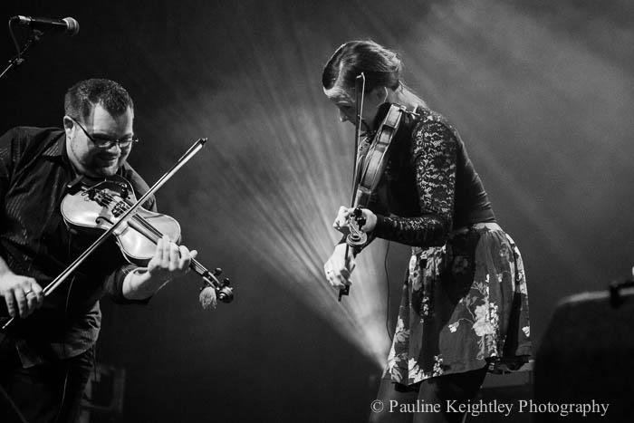 two fiddlers