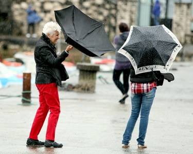 umbrellas