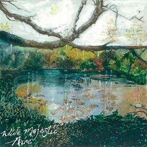 wide majestic aire