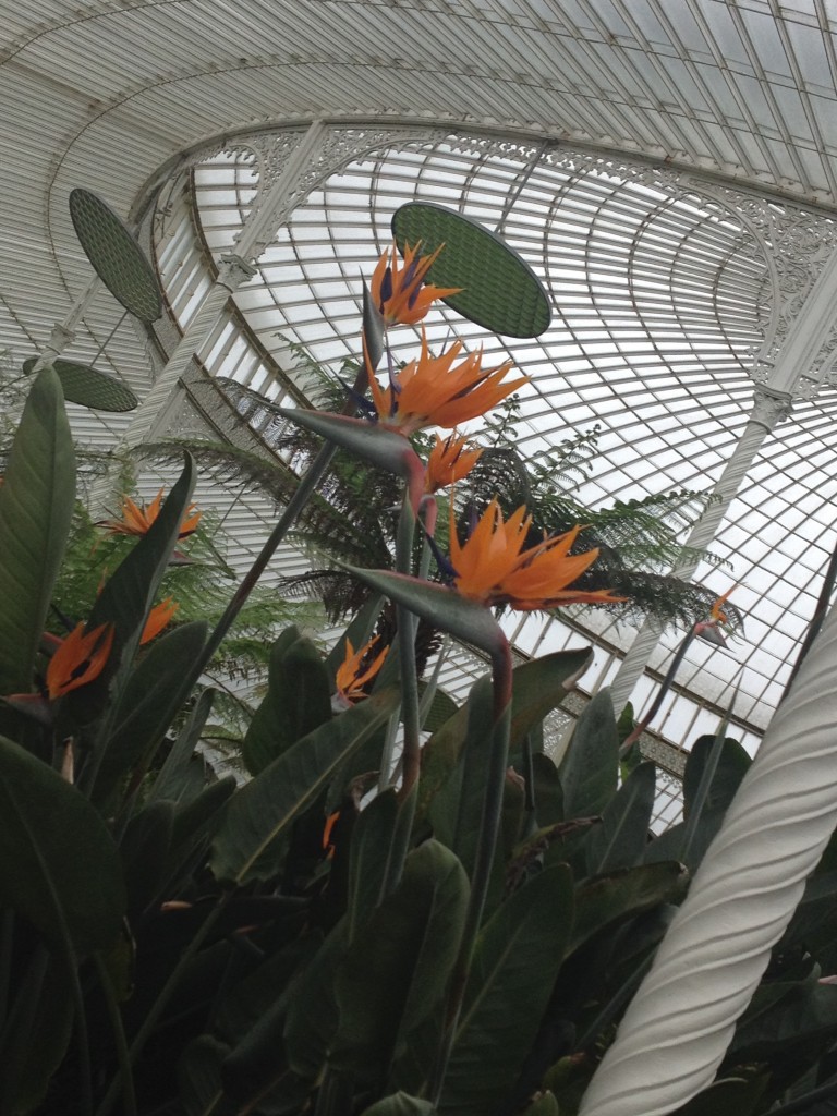 kibble palace 3