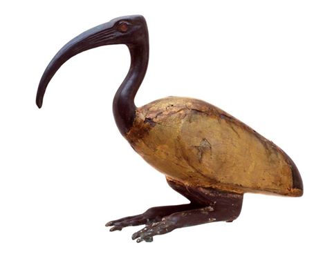 bird