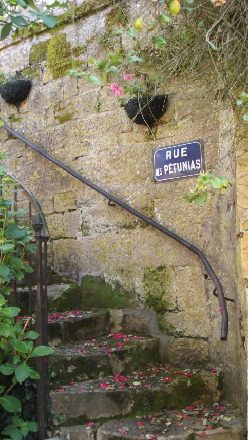 signs