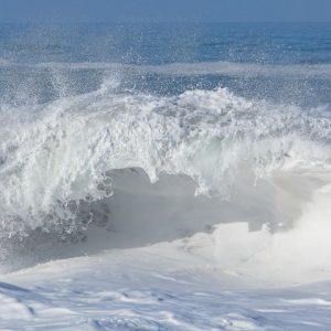 IMG_2035