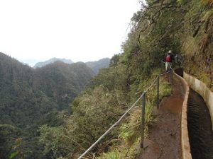 Madeira Levada