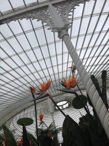 Kibble Palace