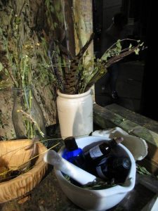 poetry apothecary rebecca shap