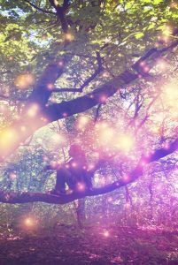 Midsummer_nights_dream_low_res