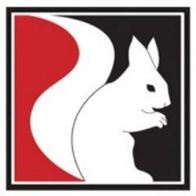 red-squirrel