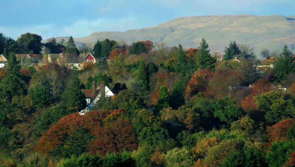autumn-in-the-suburbs