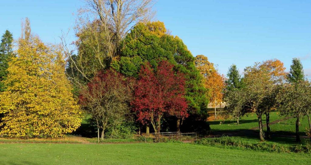 autumnal-gallery