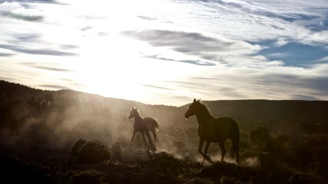 the-boers-at-the-end-of-the-world
