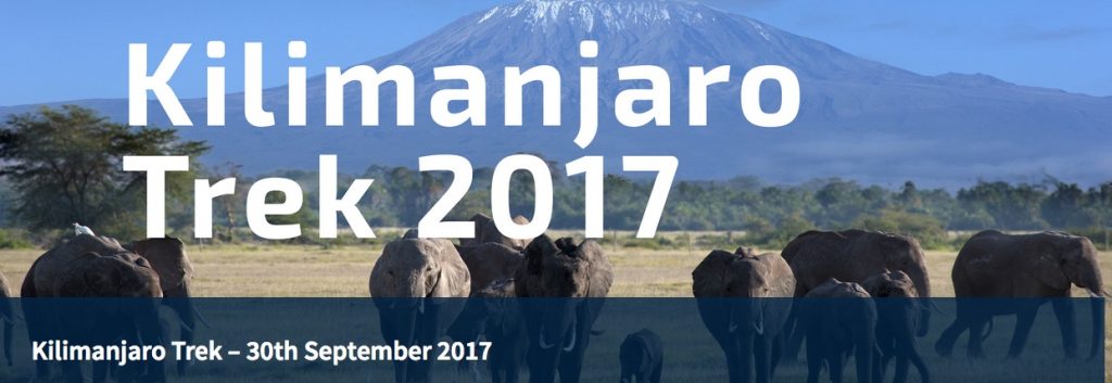 kilimanjaro trek