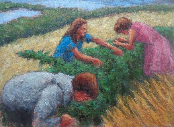 callanbrambles