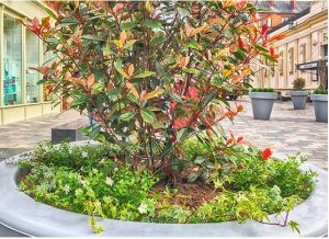 vinicombe planters