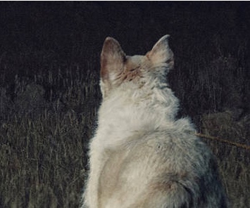 it comes at night