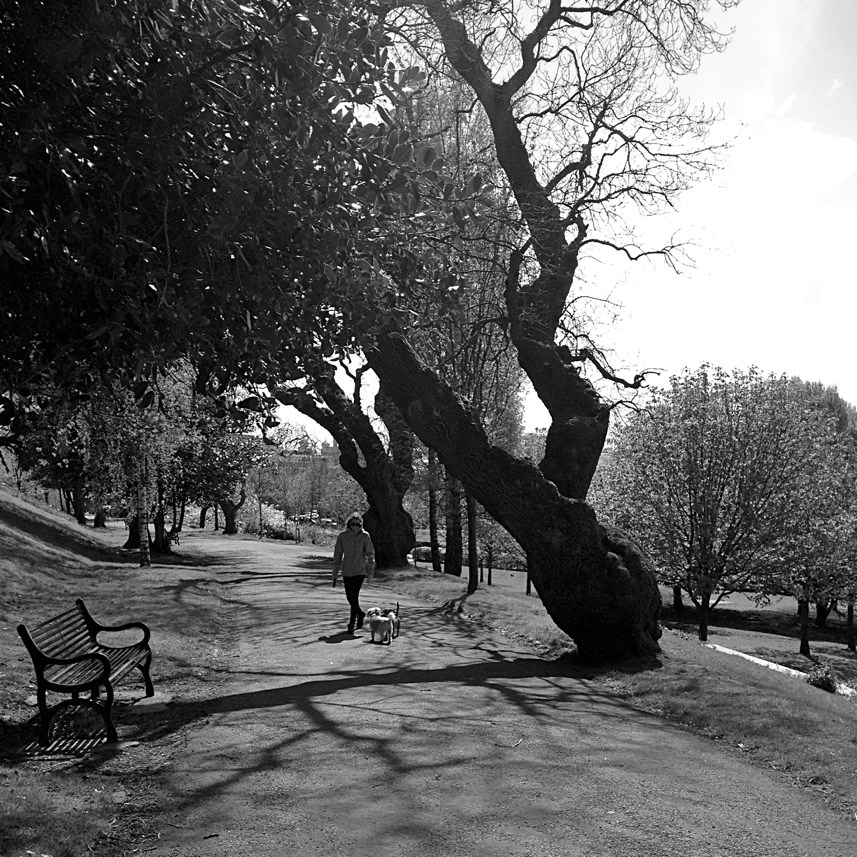kelvingrove park