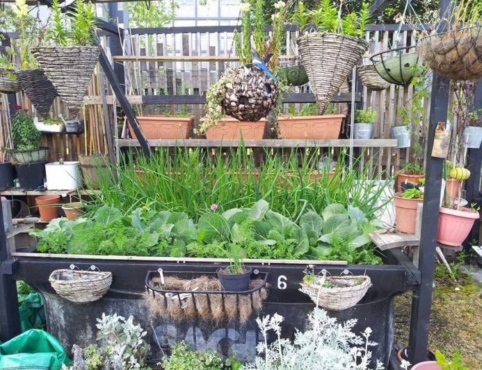 greyfriars-garden do