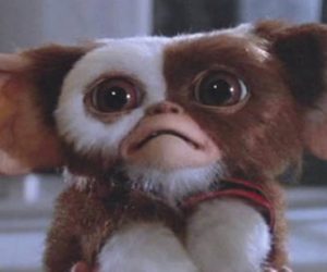 grmlins