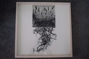 shade roots
