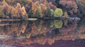 Loch Ruthven's Perfect Reflections