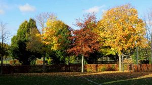 Parklands Around Hamilton