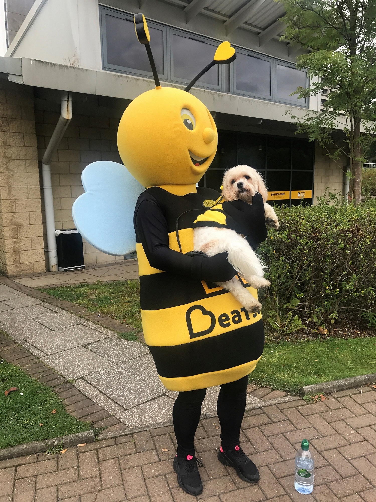 bella beatson cancer charity