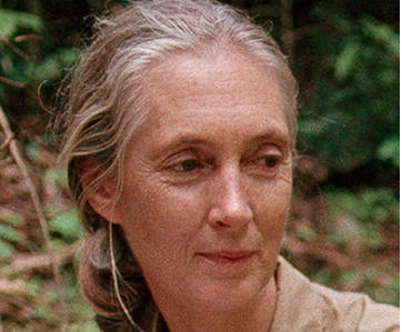 jane