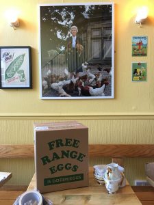 free range eggs